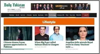 国产群p视频,社交新趋势下的伦理与法律边界  第3张