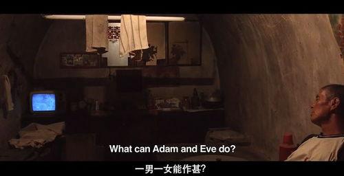 国产老人性视频在线,揭秘夕阳红时代的情感与生活  第2张