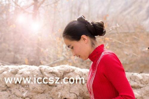 国产精品国产三级欧美  第2张