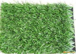 国产人人草,人人草，绿色健康生活新选择  第3张