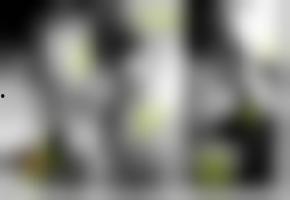 国产亚洲综合欧美视频,多元文化交融下的视觉盛宴  第2张